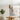 Ulltral X Baltic Birch Wooden Ceiling Lamp – Warm Ambient Lighting